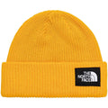 Cappelli The North Face  CAPPELLO SALTY LINED UNISEX